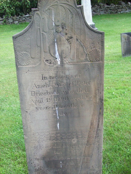 Amelia Driesbach
