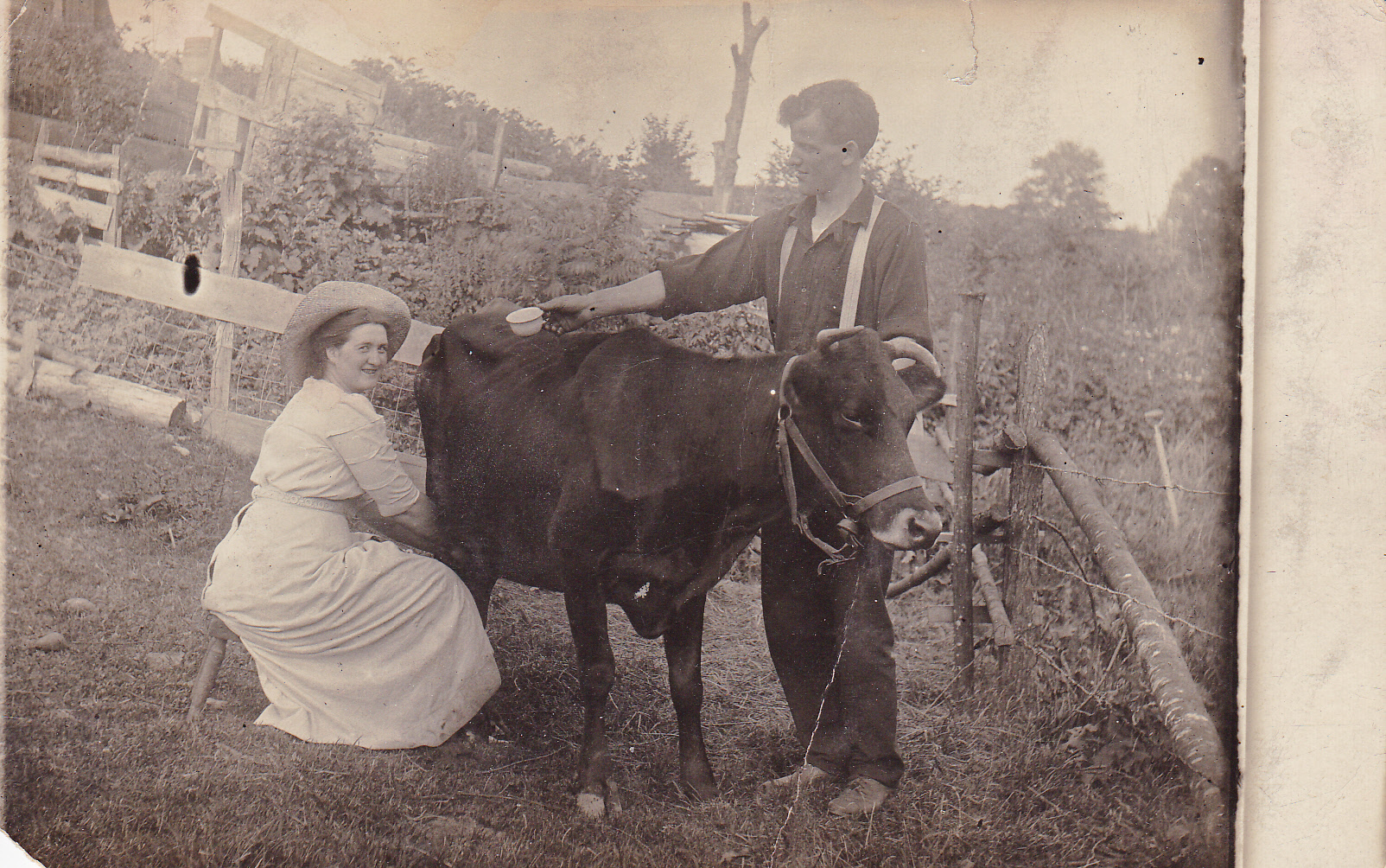 Frank and Edith (Curry) Allen